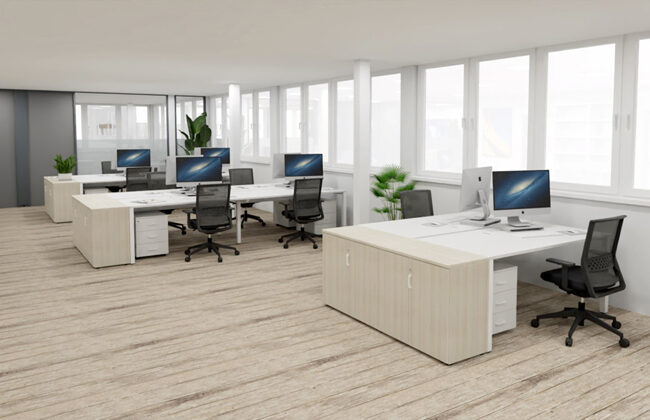 Proyecto de reforma, diseño y mobiliario de las oficinas de Grupo La Plana en Cenicero: Fase 1