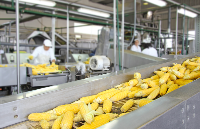 Descubre cómo una gestión inteligente impulsa la eficiencia en las empresas del sector fabricación
