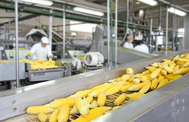SAGE 200: descubre por qué es la solución software ERP perfecta para el sector alimentario